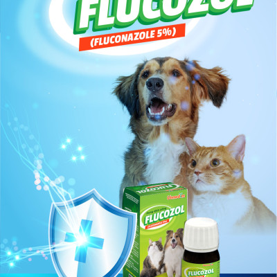 Dung dịch uống Vemedim Flucozol diệt nấm trên chó mèo