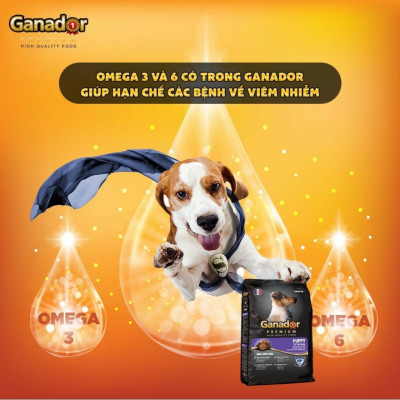Combo 2 gói thức ăn cho chó con vị sữa & DHA Ganador Puppy Milk with DHA 3kg