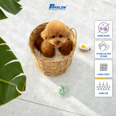 Thảm Thú Cưng Cao Cấp Parklon Hoa Văn Vân Đá Hoa Cương Vằn Chính Hãng Hàn Quốc (300x140x0.55)cm Chống Bụi Kháng Khuẩn Khử Mùi Chống Ồn Chống Trượt Chống Sốc (Pet Roll Mat-Crumble Marble)