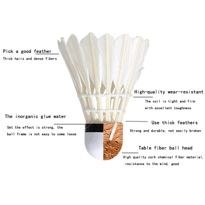 Hộp 6 cầu cầu lông AOLIKES S1006C