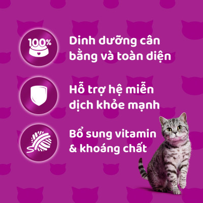 Hộp 12 Gói Pate Cho Mèo Lớn Vị Cá Biển Whiskas Adult 80g