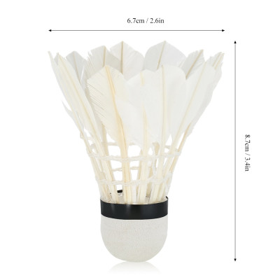 Hộp 12 quả cầu lông AOLIKES S30012C