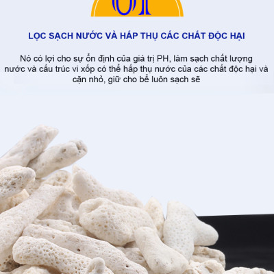 San Hô Vụn túi 1KG  + 1 túi lưới đựng vật liệu lọc cho bể cá