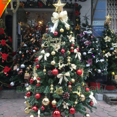 Cây thông noel 3 loại lá gắn trái thông cao 150cm