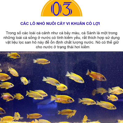 San Hô Vụn túi 1KG + Phân nền thủy sinh SMEKONG II 2KG giàu dinh dưỡng, trang trí bể cá, hồ cá