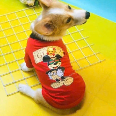 ÁO CUTE COOL NGẦU TỪ 1-20KG DÀNH CHO THÚ CƯNG CHÓ MÈO