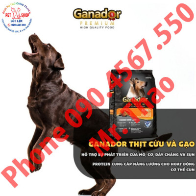 5 gói Đủ Loại Thức ăn cho chó Ganador Adult / Puppy - FIB