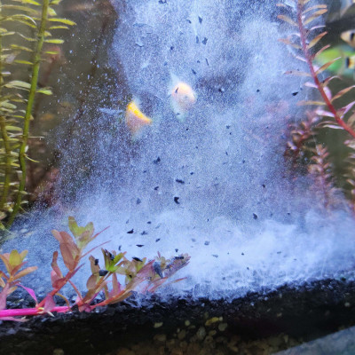 Than lai Gliba 250gram