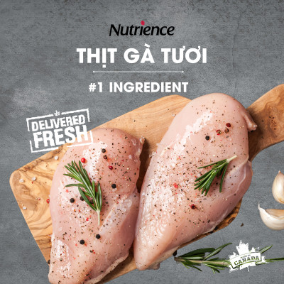 Thức Ăn Cho Chó Nhỏ Nutrience Infusion Bao 500g - Thịt Gà, Rau Củ Và Trái Cây Tự Nhiên