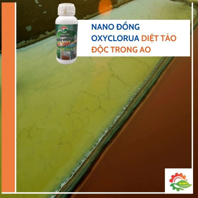Nano đồng xử lý nước cho ao nuôi và bể cá cảnh . Chai  500ml nano đồng oxyclorua Haki chuyên diệt nấm, diệt rêu, cắt tảo, xử lý nước