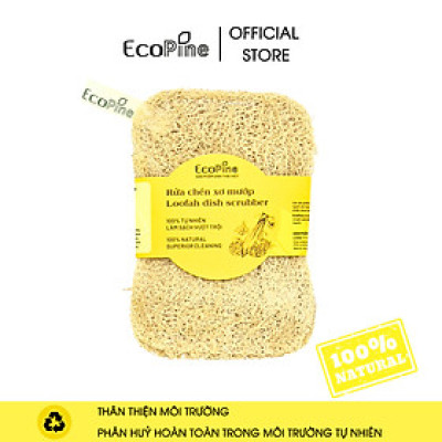 Miếng rửa chén xơ mướp ECOPINE hình chữ nhật size S