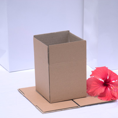 10 Hộp carton 10x10x10