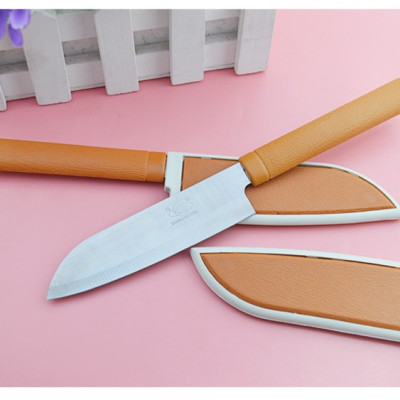 Dao Gọt Hoa Quả, Trái Cây Có Nắp Đậy Echo 207mm - Hàng nội địa Nhật Bản