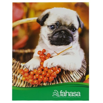 Combo 5 Tập 4 Ly Ngang 200 Trang ĐL 60g/m2 - FAHASA (Mẫu Màu Giao Ngẫu Nhiên)