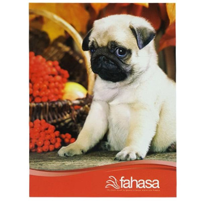 Combo 5 Tập 4 Ly Ngang 200 Trang ĐL 60g/m2 - FAHASA (Mẫu Màu Giao Ngẫu Nhiên)