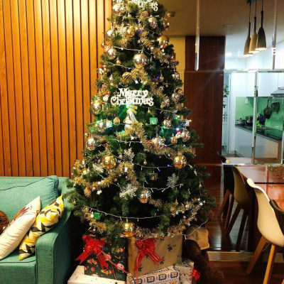 Cây thông noel màu xanh cao 3m - Đế sắt, tán dày và đẹp, cây thông chắc chắn và dể tháo lắp