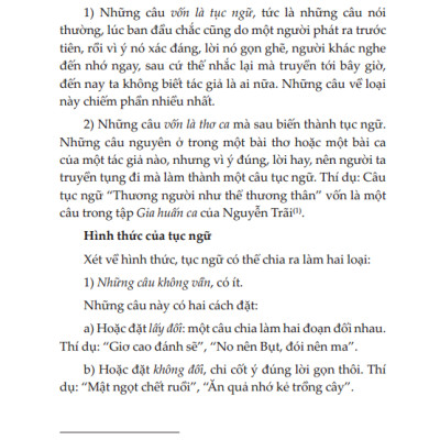 Việt Nam Văn Học Sử Yếu (Bìa Mềm)