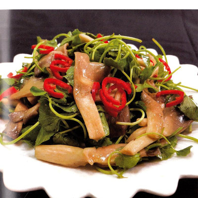 500 Món Chay Thanh Tịnh - Tập 9