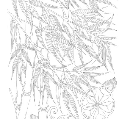 Tô Màu Người Lớn - MAI LAN CÚC TRÚC