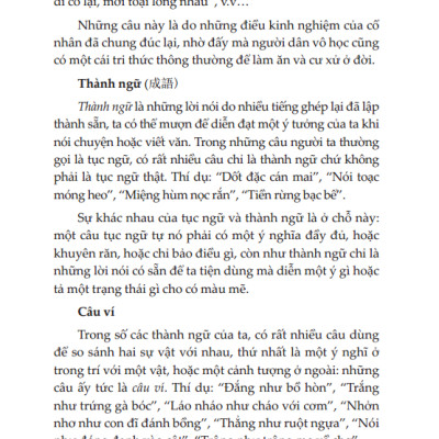 Việt Nam Văn Học Sử Yếu (Bìa Mềm)