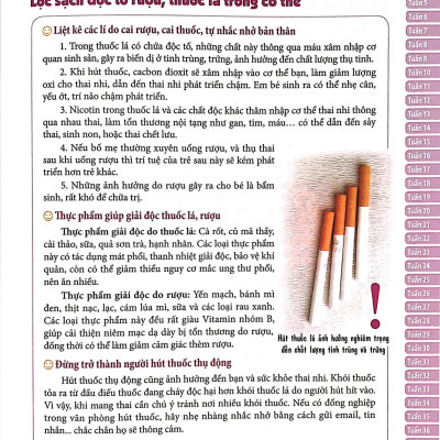 Mang Thai Thành Công - 280 Ngày Mỗi Ngày Đọc 1 Trang