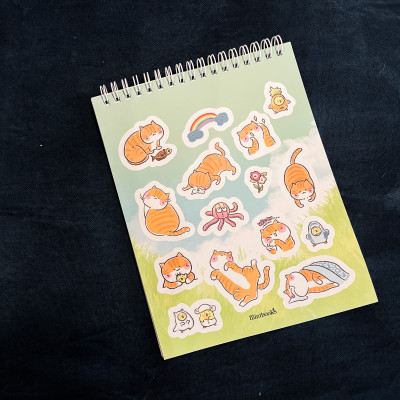 Qua Lăng Kính Của Một Chú Mèo (Tô Màu Mùa Hè Rực Rỡ)