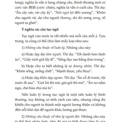 Việt Nam Văn Học Sử Yếu (Bìa Mềm)