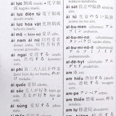 Từ Điển Việt - Nhật