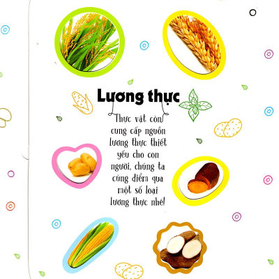 Sách Tương Tác - Lift-The-Flap - First 100 Plants - 100 Từ Đầu Tiên Về Thế Giới Thực Vật (Tái Bản)