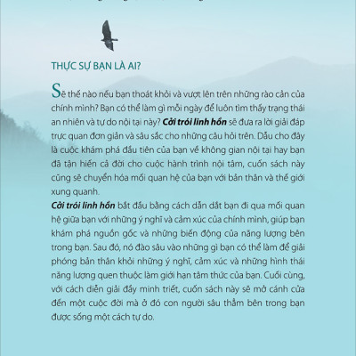 Combo 2 Cuốn : Cởi Trói Linh Hồn, Buông Bỏ Buồn Buông (Tái Bản)