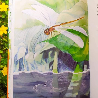 XÓM BỜ GIẬU (Bìa cứng)