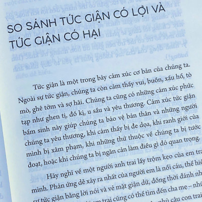 Sách: Trẻ Cáu, Cha Mẹ Gắt