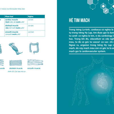 Thuật Ngữ Tiếng Anh Chuyên Ngành Y Khoa - Cho người mới bắt đầu (Medical Terminology)