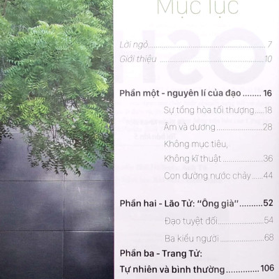 Đạo - Osho (Tái Bản 2022)