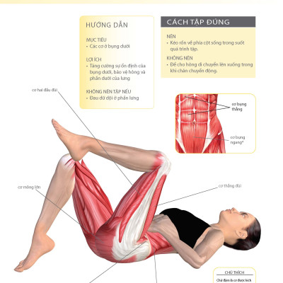 Khỏe Đẹp Với Các Bài Tập Cơ Bản