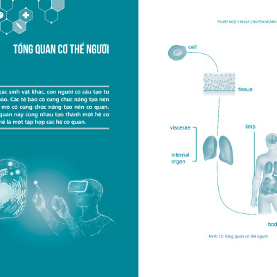 Thuật Ngữ Tiếng Anh Chuyên Ngành Y Khoa - Cho người mới bắt đầu (Medical Terminology)