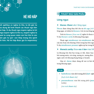 Thuật Ngữ Tiếng Anh Chuyên Ngành Y Khoa - Cho người mới bắt đầu (Medical Terminology)
