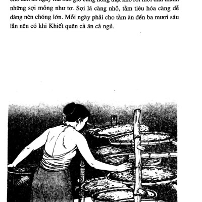 Lịch Sử Việt Nam Bằng Tranh 17: Ỷ Lan Nguyên Phi (Tái Bản 2022)