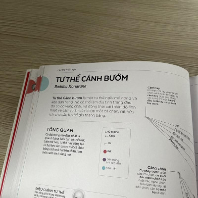 Sách - Khoa học về Yoga (Nhã Nam HCM)