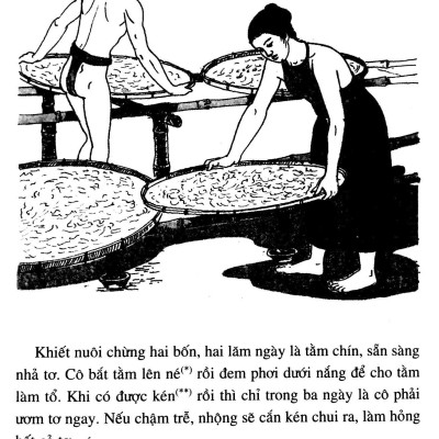 Lịch Sử Việt Nam Bằng Tranh 17: Ỷ Lan Nguyên Phi (Tái Bản 2022)