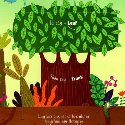 Sách Tương Tác - Lift-The-Flap - First 100 Plants - 100 Từ Đầu Tiên Về Thế Giới Thực Vật (Tái Bản)