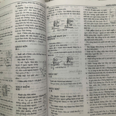 Từ Điển Châm Cứu