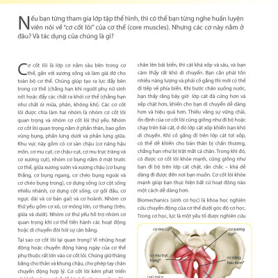 Khỏe Đẹp Với Các Bài Tập Cơ Bản