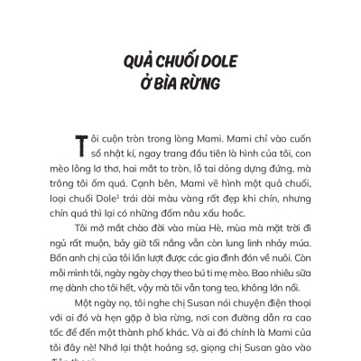 Mùa Hè Có Tuyết