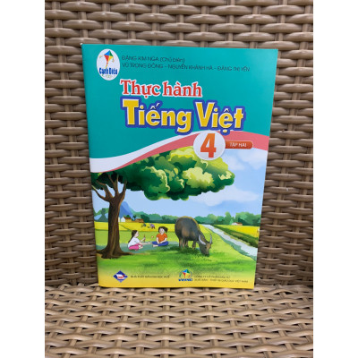 Sách - Combo Thực hành tiếng việt 4 - tập 1 + 2 ( cánh diều ) (BT)
