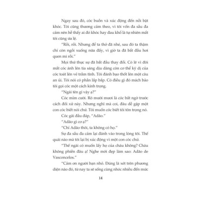 Sách - Sưởi ấm mặt trời (Phần tiếp của Cây cam ngọt của tôi) (José Mauro de Vasconcelos) (Nhã Nam)