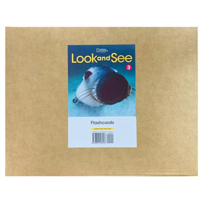 Look And See 3: Flashcards
