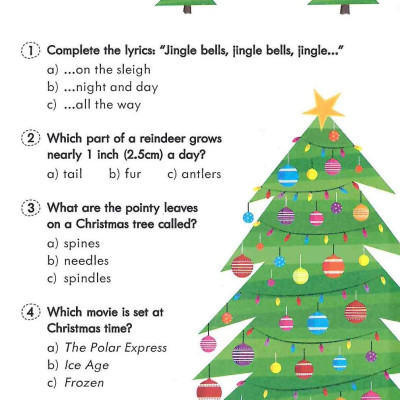 Christmas Quiz Book