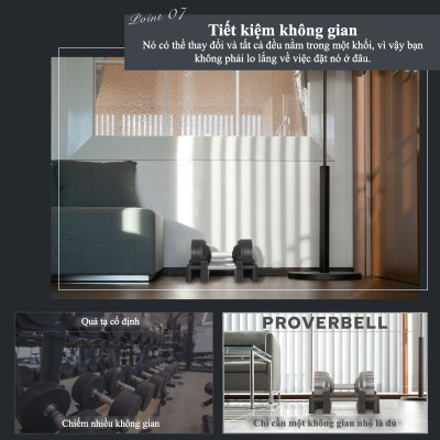 Lysin - 01 quả tạ 32.5kg/02 quả tạ 65kg điều chỉnh trọng lượng 20 cấp độ mỗi lần đổi 1.5kg tạ đòn tập luyện chuyên nghiệp tập gym, tập luyện cơ bắp tập luyện thể thao.