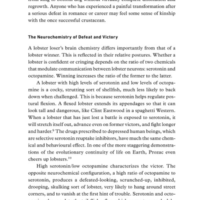 12 Rules For Life: An Antidote To Chaos